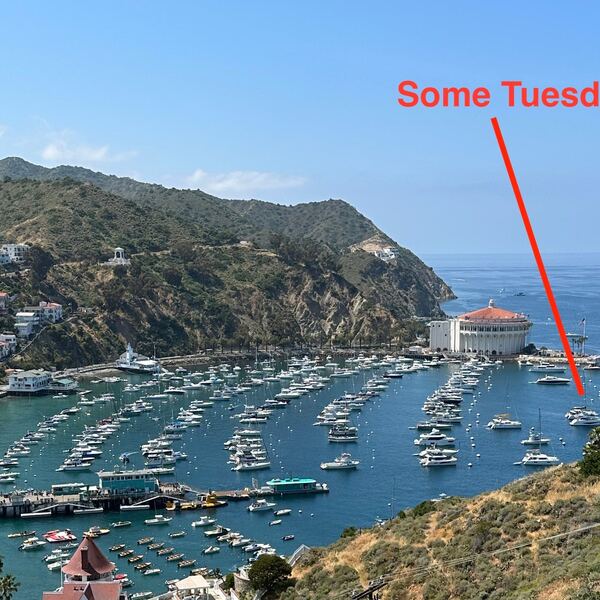 Aboard Some Tuesday