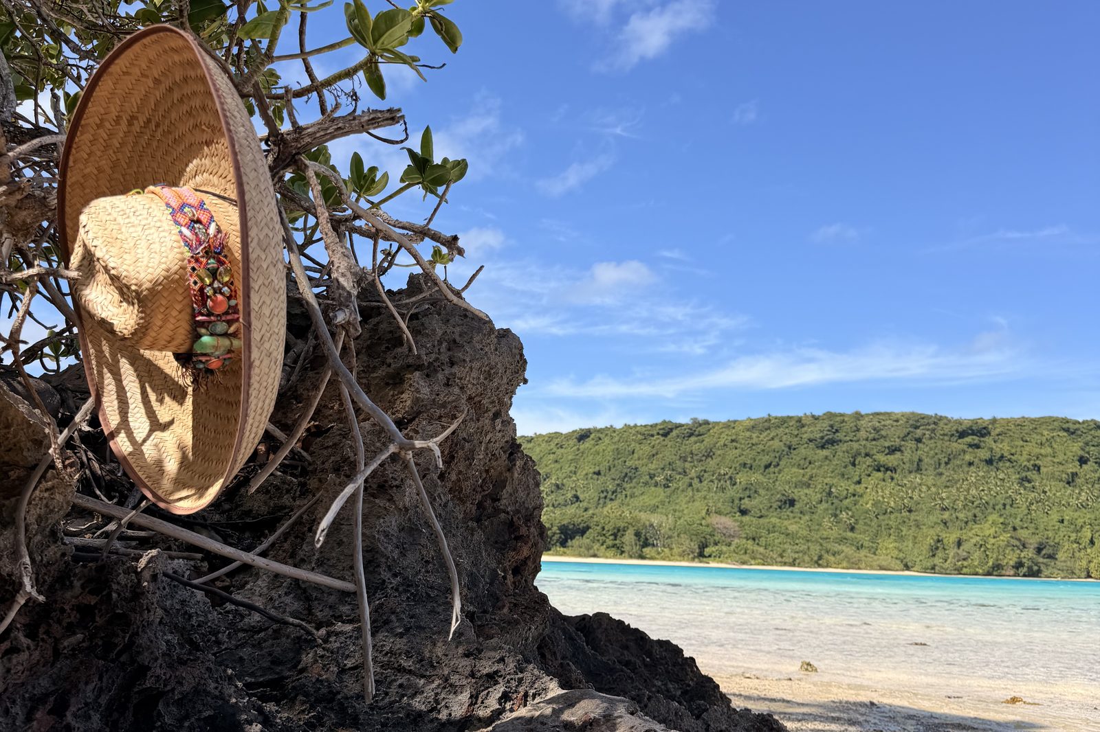 Straw hat hung on a coastal branch overlooking a turquoise lagoon in Vavaʻu