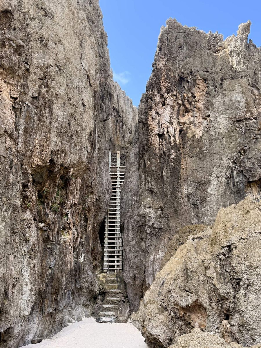 A metal ladder in a narrow gap between limestone walls, above a few stone steps
